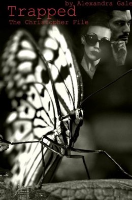 Дело Кристофера