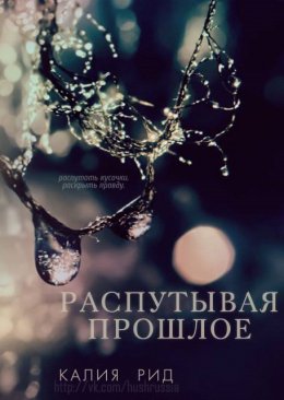 Распутывая прошлое